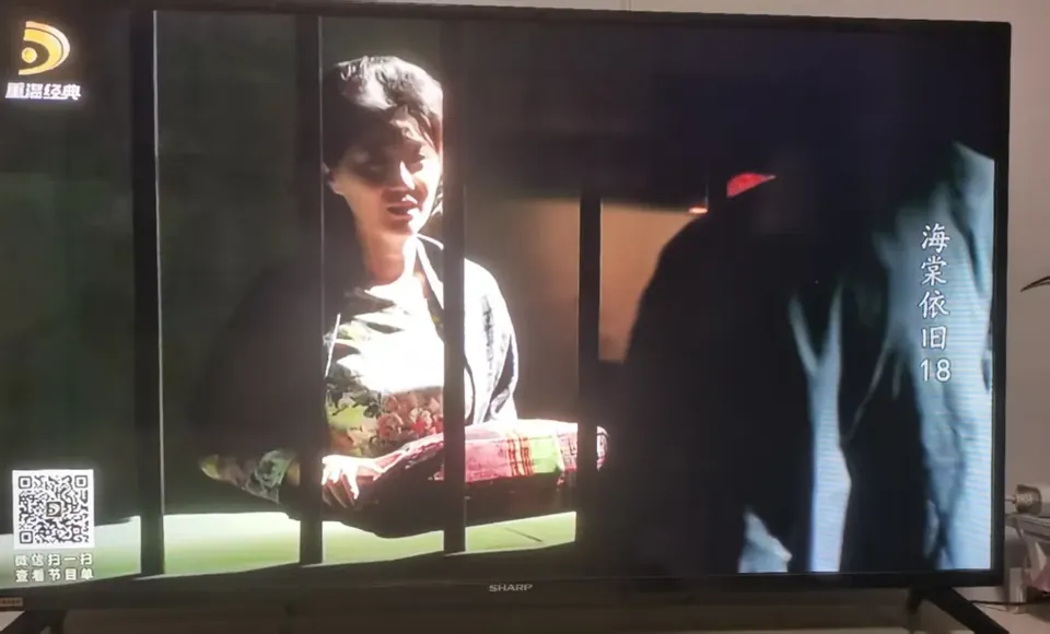 Hai Tang Yi Jiu Scene #10