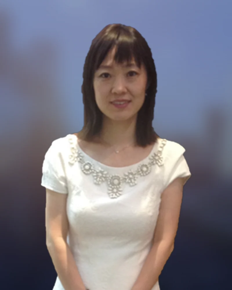 Zhao Hui